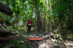 BIB: 
                            <button type="button" onclick="openModal(19394007)" class="btn btn-primary btn-sm float-right btn-popup" data-toggle="modal" data-target=".modal-high-quality">
                        <i class="fas fa-shopping-cart"></i> Add to Cart
                    </button>
                                            <button type="button" onclick="isThisMe(19394007, true)" class="btn btn-success btn-sm float-right btn-popup btn-isme hidden" data-toggle="tooltip" data-placement="bottom" title="นี่คือรูปของคุณใช่ไหม คลิกที่นี่เพื่อเอาเข้าอัลบั้ม">
                        <i class="fas fa-plus"></i> Add to album
                    </button>
                    <button type="button" onclick="isThisMe(19394007, false)" class="btn btn-warning btn-sm float-right btn-popup btn-isnotme hidden">
                        <i class="fas fa-ban"></i> Remove from album
                    </button>